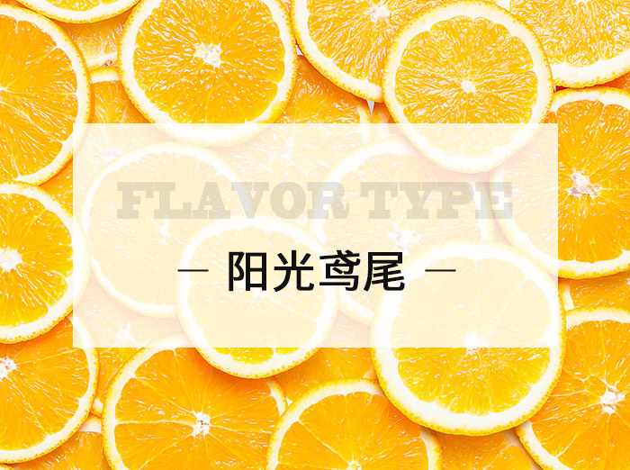 阳光鸢尾/Sunshine iris
