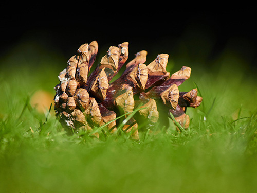 芝兰空间,香氛系统,空间香氛,香薰设备,香薰精油,香氛礼品定制