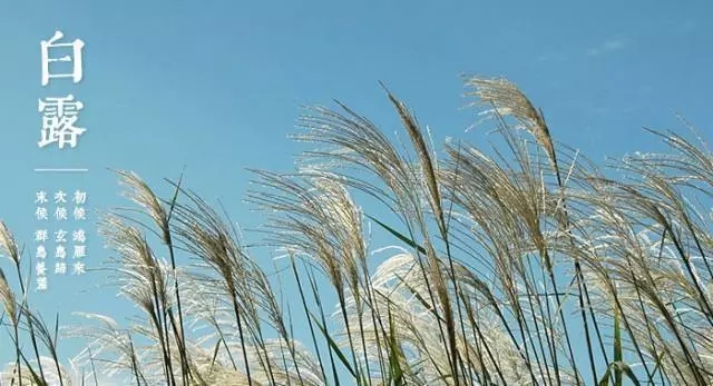 芝兰空间,香氛系统,空间香氛,香薰设备,香薰精油,香氛礼品定制