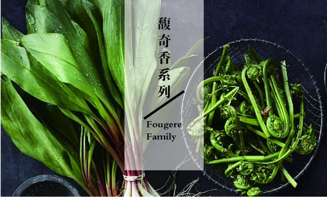 芝兰空间,香氛系统,空间香氛,香薰设备,香薰精油,香氛礼品定制