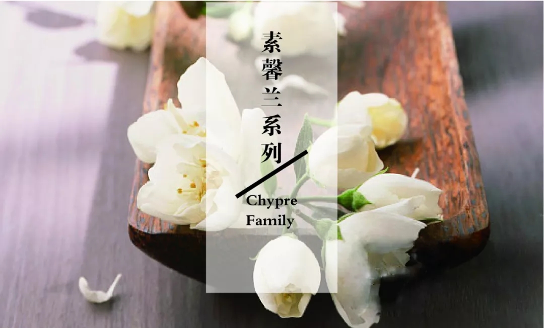 芝兰空间,香氛系统,空间香氛,香薰设备,香薰精油,香氛礼品定制