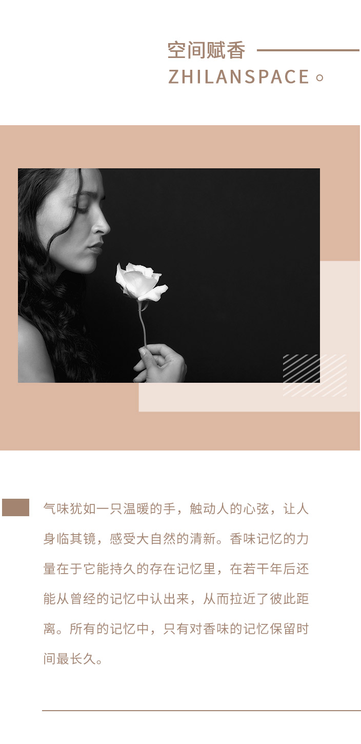 香型