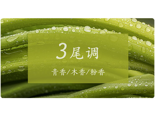 芝兰空间,香氛系统,空间香氛,香薰设备,香薰精油,香氛礼品定制