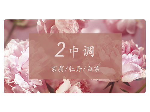 芝兰空间,香氛系统,空间香氛,香薰设备,香薰精油,香氛礼品定制