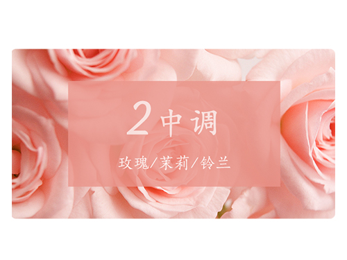 芝兰空间,香氛系统,空间香氛,香薰设备,香薰精油,香氛礼品定制 芝兰空间,香氛系统,空间香氛,香薰设备,香薰精油,香氛礼品定制