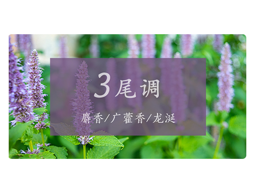 芝兰空间,香氛系统,空间香氛,香薰设备,香薰精油,香氛礼品定制 芝兰空间,香氛系统,空间香氛,香薰设备,香薰精油,香氛礼品定制
